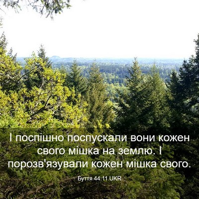 Picture 03 - Буття 44:11 UKR - І поспішно поспускали вони - Bible Verse Picture