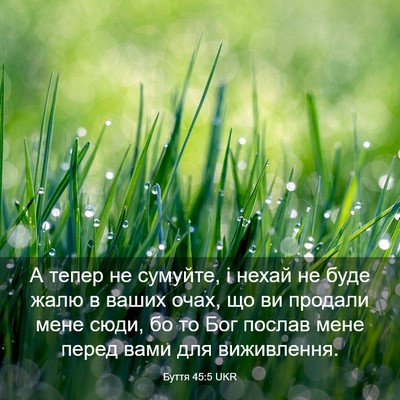 Picture 03 - Буття 45:5 UKR - А тепер не сумуйте, і нехай - Bible Verse Picture