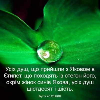 Picture 03 - Буття 46:26 UKR - Усіх душ, що прийшли з - Bible Verse Picture