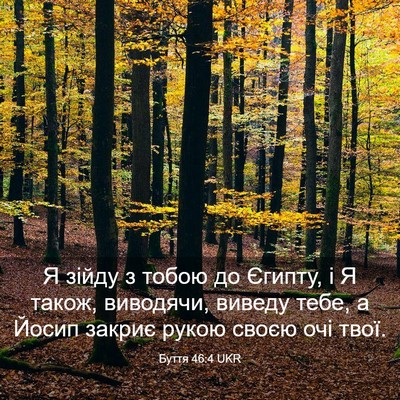 Picture 03 - Буття 46:4 UKR - Я зійду з тобою до Єгипту, і - Bible Verse Picture