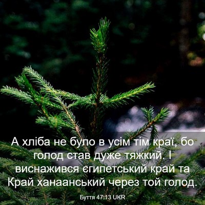 Picture 03 - Буття 47:13 UKR - А хліба не було в усім тім - Bible Verse Picture