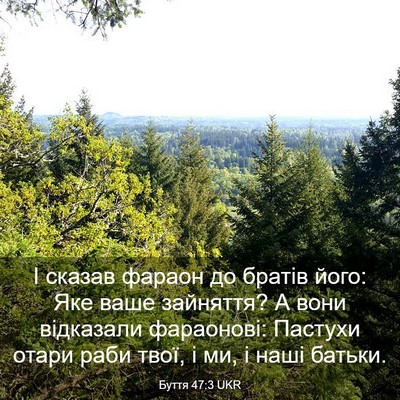 Picture 03 - Буття 47:3 UKR - І сказав фараон до братів - Bible Verse Picture