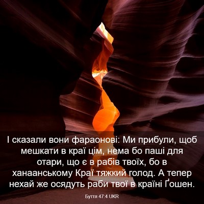Picture 03 - Буття 47:4 UKR - І сказали вони фараонові: - Bible Verse Picture