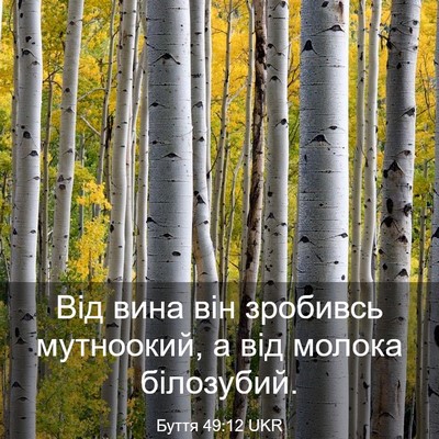 Picture 03 - Буття 49:12 UKR - Від вина він зробивсь - Bible Verse Picture