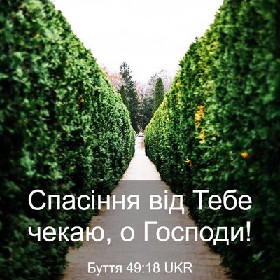 Picture 03 - Буття 49:18 UKR - Спасіння від Тебе чекаю, о - Bible Verse Picture