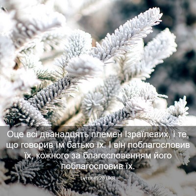 Picture 03 - Буття 49:28 UKR - Оце всі дванадцять племен - Bible Verse Picture
