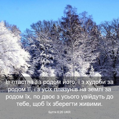 Picture 03 - Буття 6:20 UKR - Із птаства за родом його, і - Bible Verse Picture