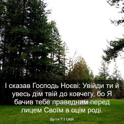 Picture 03 - Буття 7:1 UKR - І сказав Господь Ноєві: - Bible Verse Picture