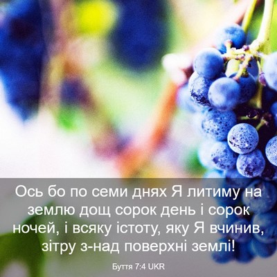 Picture 03 - Буття 7:4 UKR - Ось бо по семи днях Я - Bible Verse Picture