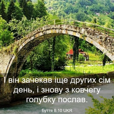 Picture 03 - Буття 8:10 UKR - І він зачекав іще других - Bible Verse Picture