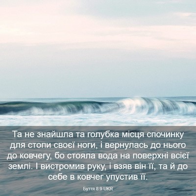 Picture 03 - Буття 8:9 UKR - Та не знайшла та голубка - Bible Verse Picture