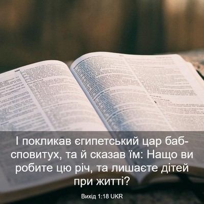 Picture 03 - Вихід 1:18 UKR - І покликав єгипетський цар - Bible Verse Picture