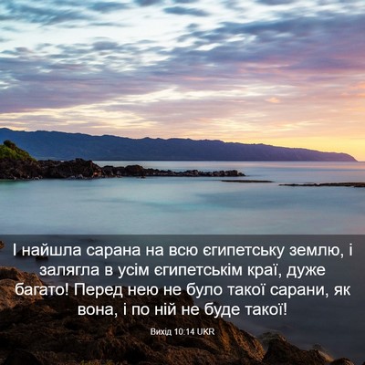 Picture 03 - Вихід 10:14 UKR - І найшла сарана на всю - Bible Verse Picture