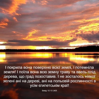 Picture 03 - Вихід 10:15 UKR - І покрила вона поверхню - Bible Verse Picture