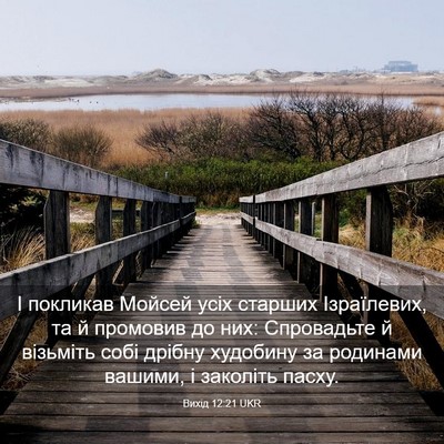 Picture 03 - Вихід 12:21 UKR - І покликав Мойсей усіх - Bible Verse Picture