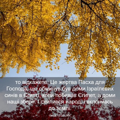 Picture 03 - Вихід 12:27 UKR - то відкажете: Це жертва - Bible Verse Picture