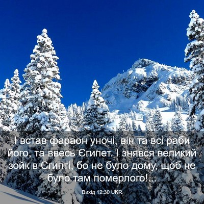 Picture 03 - Вихід 12:30 UKR - І встав фараон уночі, він - Bible Verse Picture