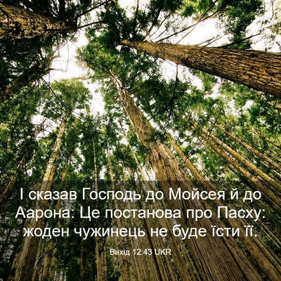 Picture 03 - Вихід 12:43 UKR - І сказав Господь до Мойсея - Bible Verse Picture