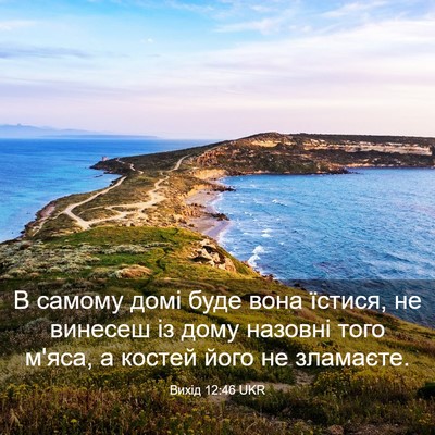 Picture 03 - Вихід 12:46 UKR - В самому домі буде вона - Bible Verse Picture