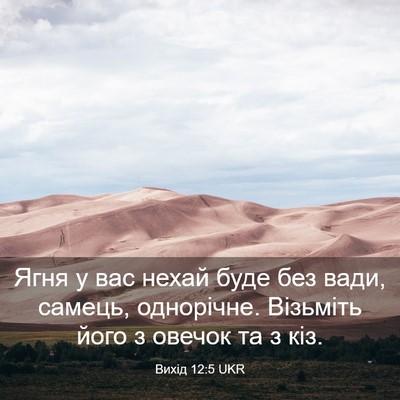 Picture 03 - Вихід 12:5 UKR - Ягня у вас нехай буде без - Bible Verse Picture