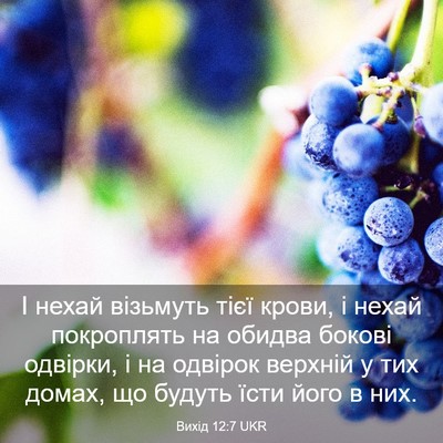 Picture 03 - Вихід 12:7 UKR - І нехай візьмуть тієї - Bible Verse Picture