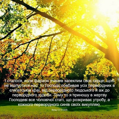 Picture 03 - Вихід 13:15 UKR - І сталося, коли фараон - Bible Verse Picture