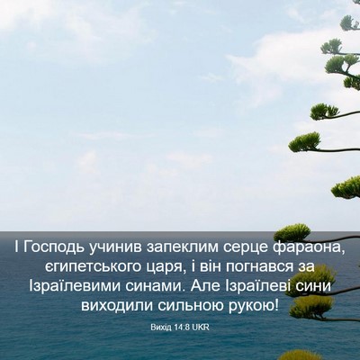 Picture 03 - Вихід 14:8 UKR - І Господь учинив запеклим - Bible Verse Picture