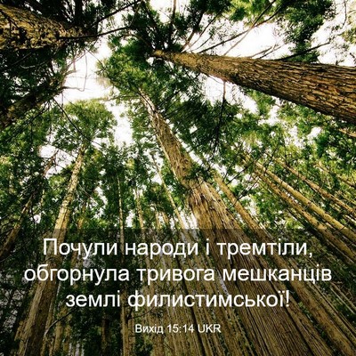 Picture 03 - Вихід 15:14 UKR - Почули народи і тремтіли, - Bible Verse Picture
