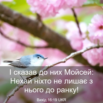 Picture 03 - Вихід 16:19 UKR - І сказав до них Мойсей: - Bible Verse Picture