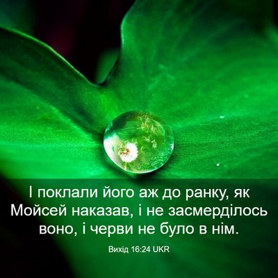 Picture 03 - Вихід 16:24 UKR - І поклали його аж до ранку, - Bible Verse Picture