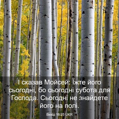 Picture 03 - Вихід 16:25 UKR - І сказав Мойсей: Їжте його - Bible Verse Picture