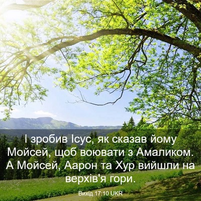 Picture 03 - Вихід 17:10 UKR - І зробив Ісус, як сказав - Bible Verse Picture