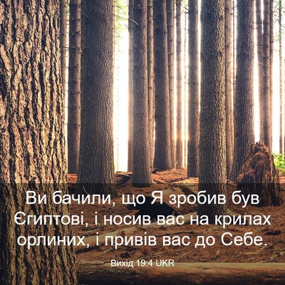Picture 03 - Вихід 19:4 UKR - Ви бачили, що Я зробив був - Bible Verse Picture