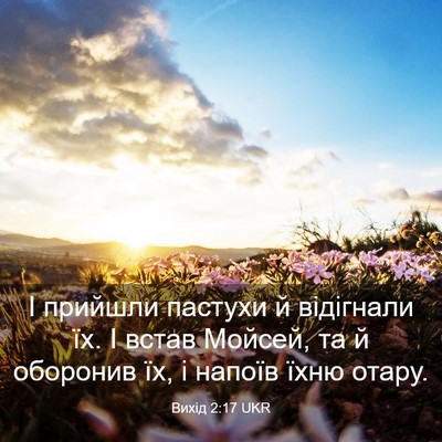 Picture 03 - Вихід 2:17 UKR - І прийшли пастухи й - Bible Verse Picture