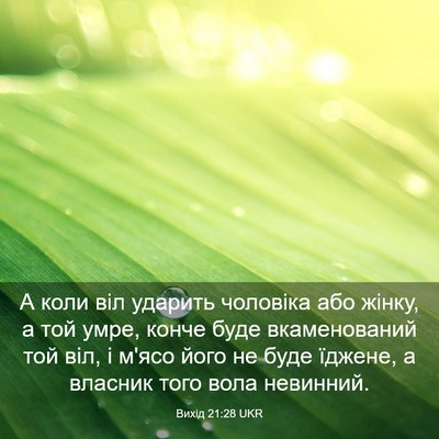 Picture 03 - Вихід 21:28 UKR - А коли віл ударить - Bible Verse Picture