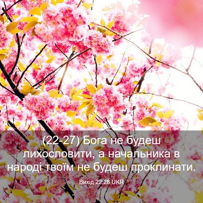 Picture 03 - Вихід 22:28 UKR - (22-27) Бога не будеш - Bible Verse Picture