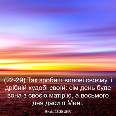Picture 03 - Вихід 22:30 UKR - (22-29) Так зробиш волові - Bible Verse Picture