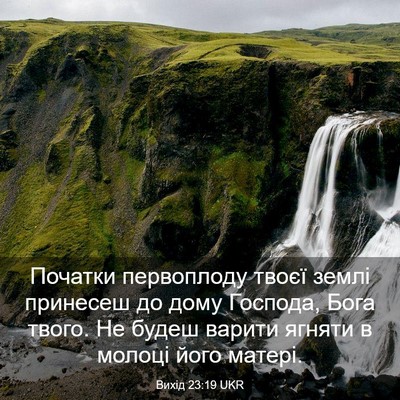 Picture 03 - Вихід 23:19 UKR - Початки первоплоду твоєї - Bible Verse Picture