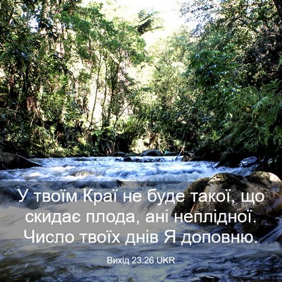 Picture 03 - Вихід 23:26 UKR - У твоїм Краї не буде такої, - Bible Verse Picture