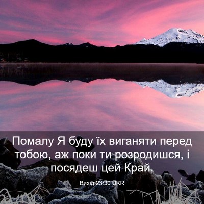 Picture 03 - Вихід 23:30 UKR - Помалу Я буду їх виганяти - Bible Verse Picture