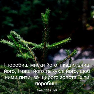 Picture 03 - Вихід 25:29 UKR - І поробиш миски його, і - Bible Verse Picture