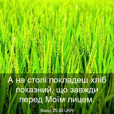 Picture 03 - Вихід 25:30 UKR - А на столі покладеш хліб - Bible Verse Picture
