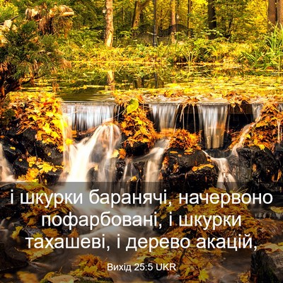 Picture 03 - Вихід 25:5 UKR - і шкурки баранячі, - Bible Verse Picture
