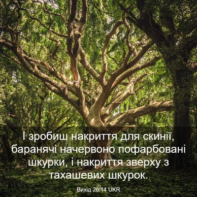Picture 03 - Вихід 26:14 UKR - І зробиш накриття для - Bible Verse Picture