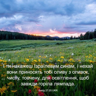 Picture 03 - Вихід 27:20 UKR - І ти накажеш Ізраїлевим - Bible Verse Picture