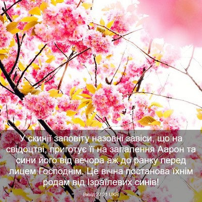 Picture 03 - Вихід 27:21 UKR - У скинії заповіту назовні - Bible Verse Picture