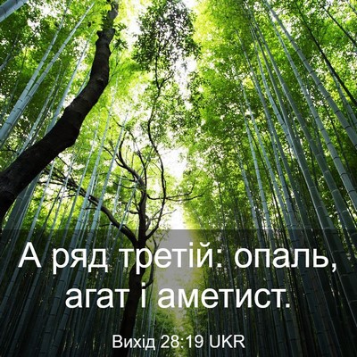 Picture 03 - Вихід 28:19 UKR - А ряд третій: опаль, агат і - Bible Verse Picture
