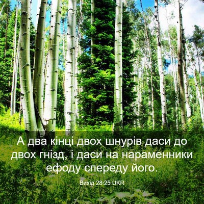 Picture 03 - Вихід 28:25 UKR - А два кінці двох шнурів - Bible Verse Picture