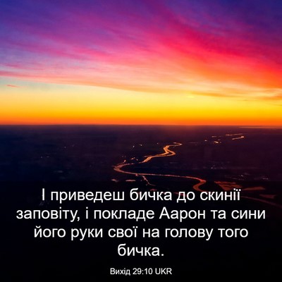 Picture 03 - Вихід 29:10 UKR - І приведеш бичка до скинії - Bible Verse Picture