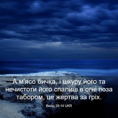 Picture 03 - Вихід 29:14 UKR - А м'ясо бичка, і шкуру його - Bible Verse Picture